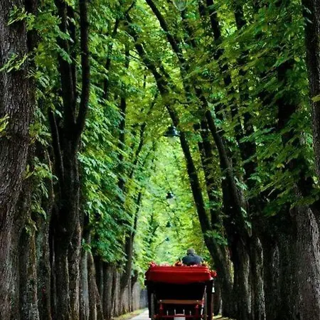 Apartmán The Heart Of *