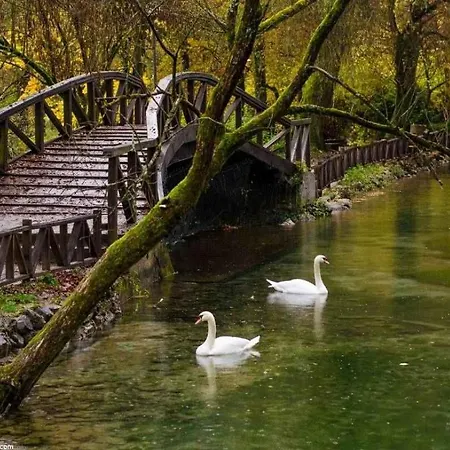 The Heart Of Sarajevo