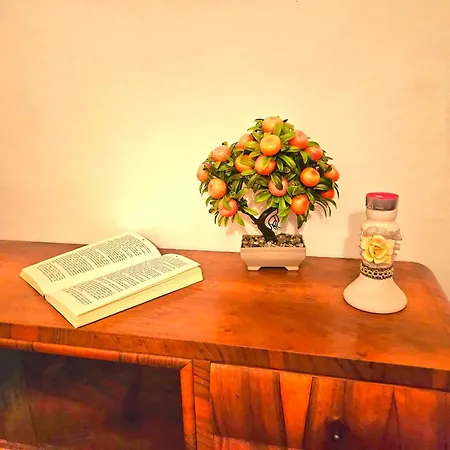 The Heart Of Sarajevo