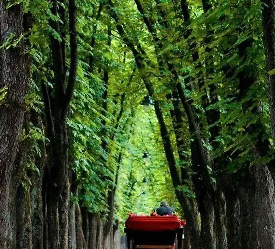 Appartamento The Heart Of *